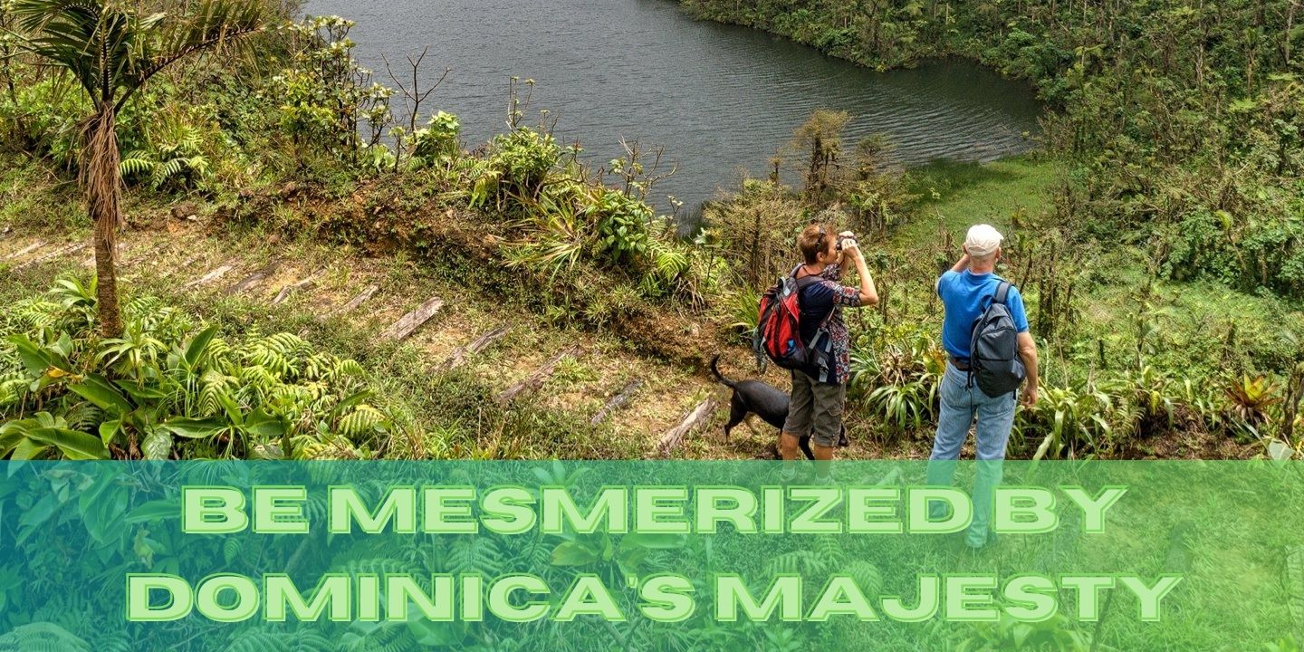 Adventure American Discount Cruises & Travel